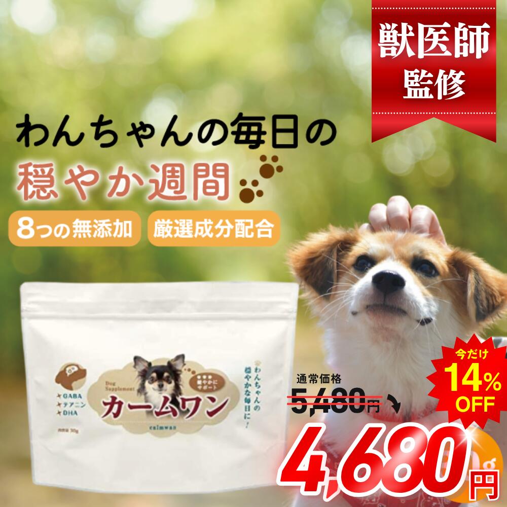 【愛犬の思わしいを召し上がるから受け支える】5つのお苦しむことに寄り添う手作りごはん特集?