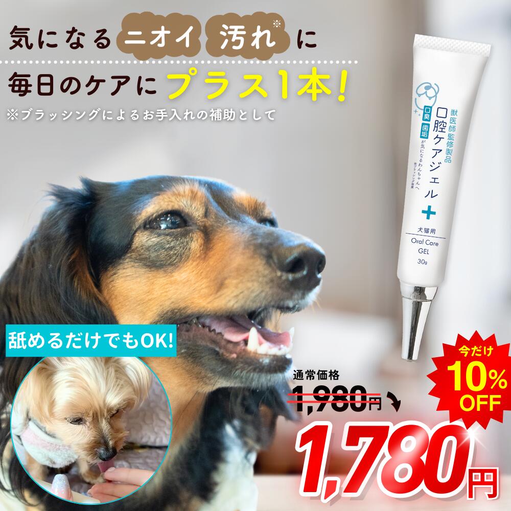 楽天市場】ドクターワンデル プラス Dr.wande 30g 愛犬用 デンタルケア