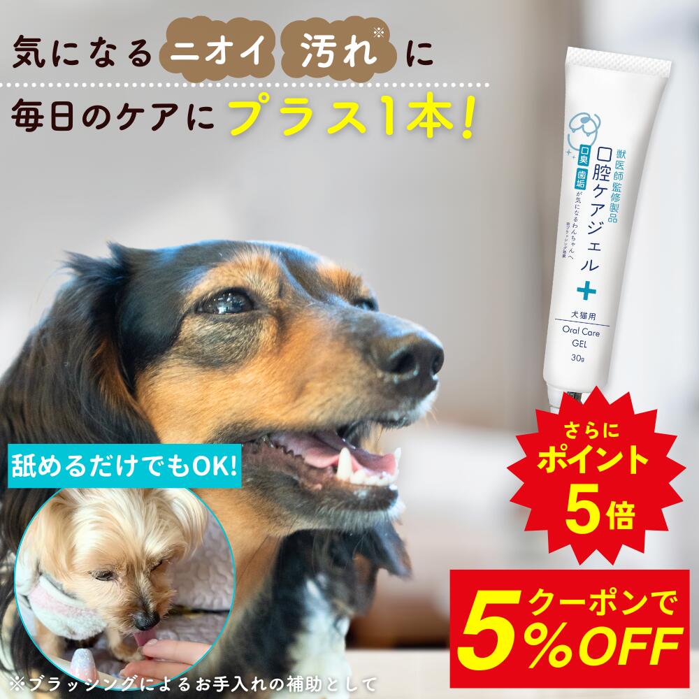【ちいちゃん】ドクターデンタルワン　2本他　【犬用口腔ケア】 楽天市場】【本日限定☆20%OFF】 ドクターデンタルワン ドクター
