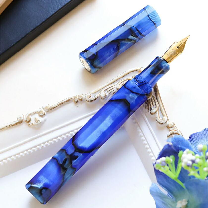 楽天市場】ワンチャー×セーラー 万年筆「プロフェッショナルギア21金