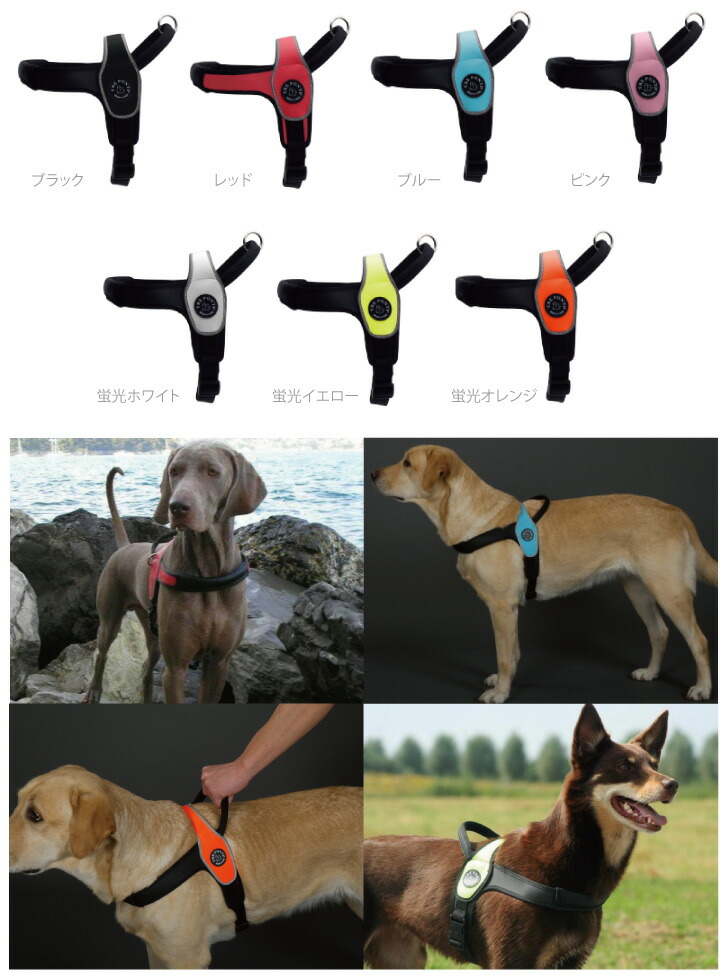 Tre Ponti トレポンティー Primo プリモ 犬用 ハーネス 大型犬