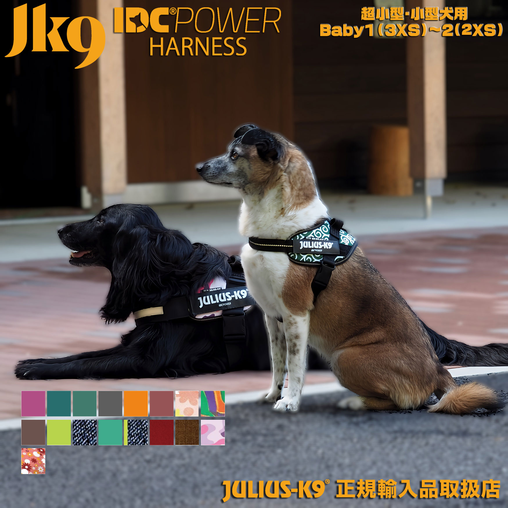 楽天市場】3in1ドッグベスト ブラック＆UVオレンジ 犬用 ユリウスk9 Julius-K9 ユリウスケーナイン ユリウスK9 大型犬 ハーネス  Lサイズ XLサイズ 多機能ライフベスト スイミングベスト ネオプレンジャケット リハビリテーションハーネス 送料無料 : ワンダースタジオ