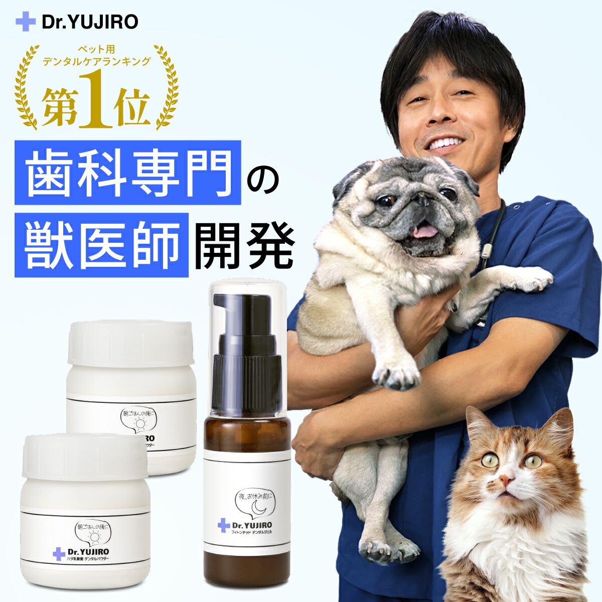 わんこの歯医者さん imgrc0100361433.jpg