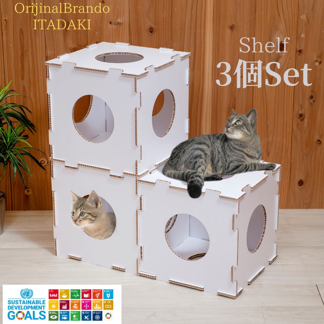 楽天市場】お試し特価 猫用品 猫グッズ 猫ハウス 猫ハウジング