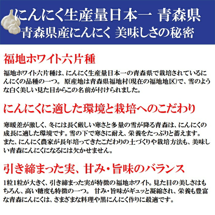 8月よりご予約順に発送 新物 にんにく 22年 美味しい 国産 健康 免疫力 ニンニク 初物 産地直送 黒にんにく 免疫 福地ホワイト 5kg 送料無料 新にんにく 青森産 約15玉 5 元気 令和4年 青森県産 青森 Lサイズ