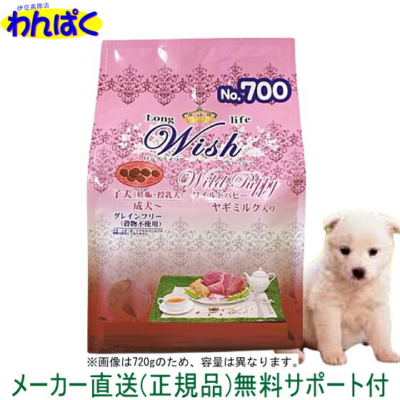 わんぱく家の鴨脚樹