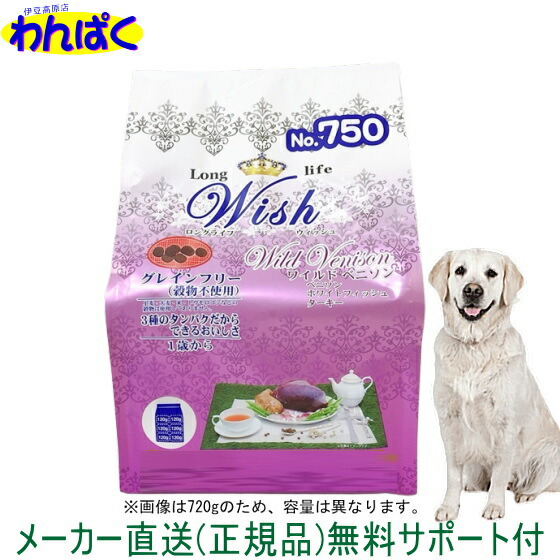わんぱく家の鴨脚樹