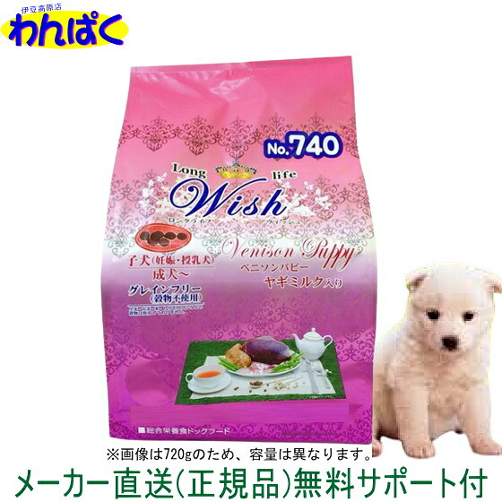 わんぱく家の鴨脚樹