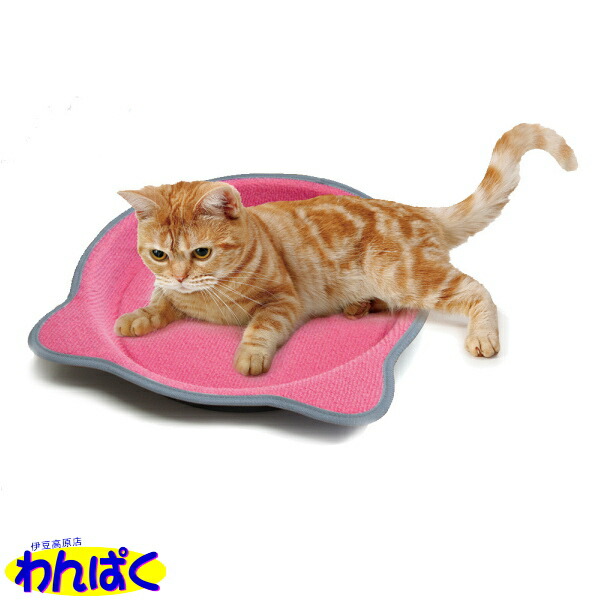 楽天市場】【クーポン有】 マルカン キャットフレンドプレイジムＭ 猫用 ペット用 動物用 キャットタワー おもちゃ 他お試しフードサンプル有  A120-12 : わんぱく 猫犬用品専門店