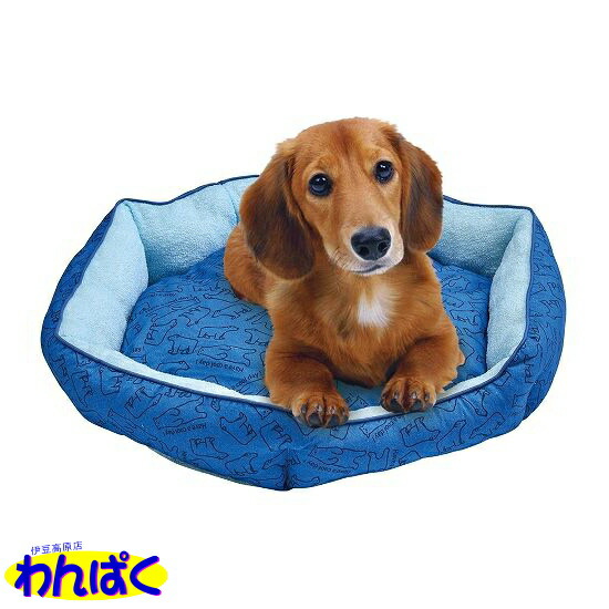 楽天市場】【クーポン有】 マルカン 白クマさんの接触冷感もみふみ