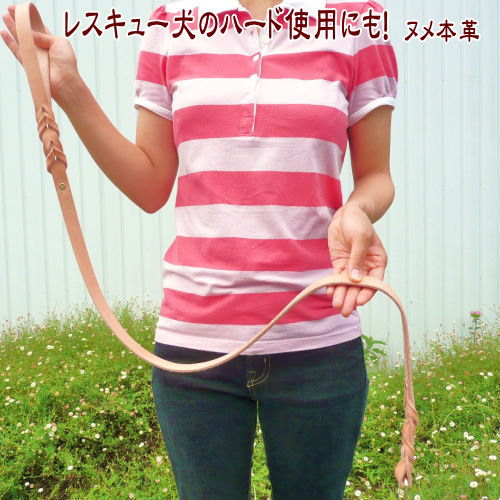 わんぱく家の鴨脚樹