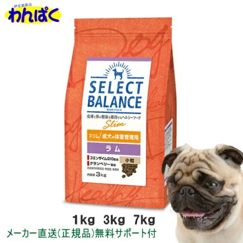 imgrc0101737363.jpg