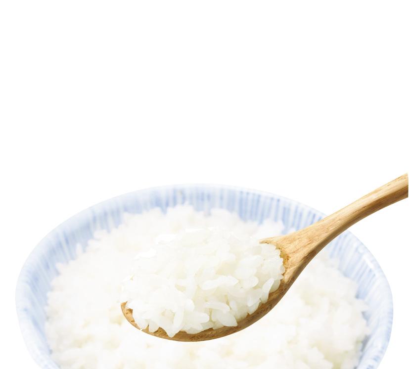 アルファ米 50食入 (1) 白飯 防災グッズ 備蓄 食料 長期保存 防災用品 災害対策 アウトドア キャンプ 旅行