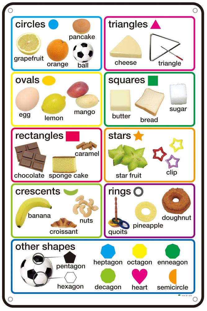 ★ P10倍 & 11%OFF クーポン★ shapes&colorsディスプレイボード|ワンサカ支店