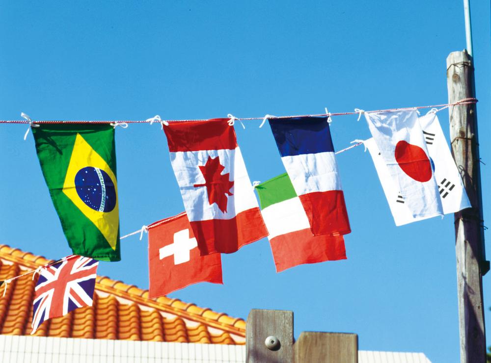 【ポイント10倍 4/10 1:59まで】万国旗用ツインロープ　紅白混合