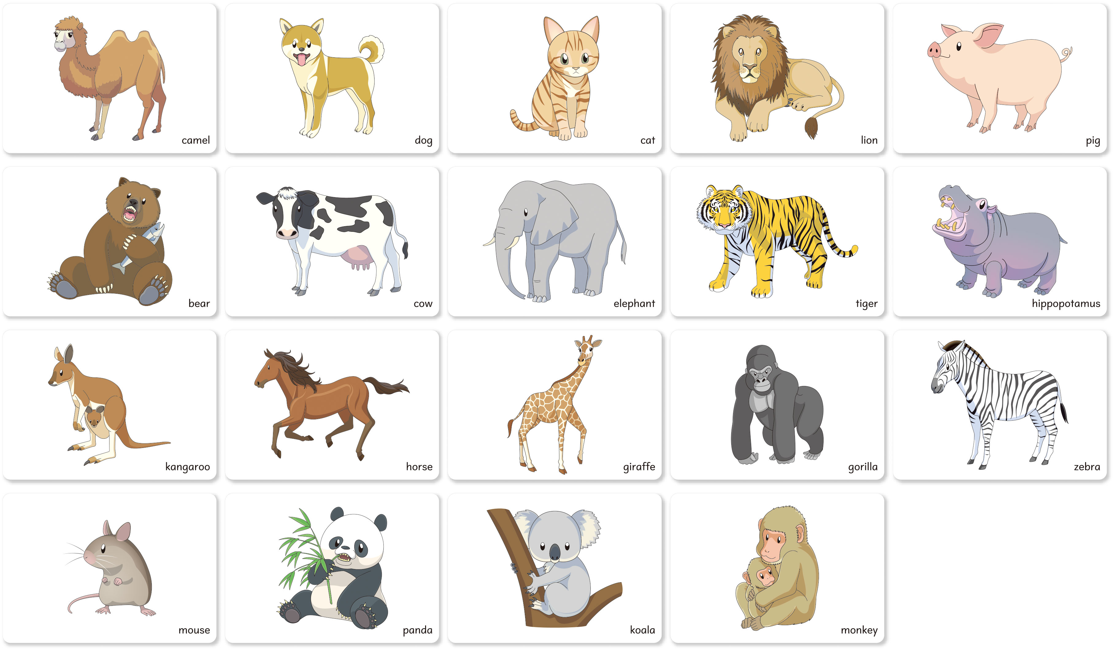 【ポイント10倍 4/10 1:59まで】英語イラストカード (9) 動物編 1 学習 教材 学校 英語 アルファベット