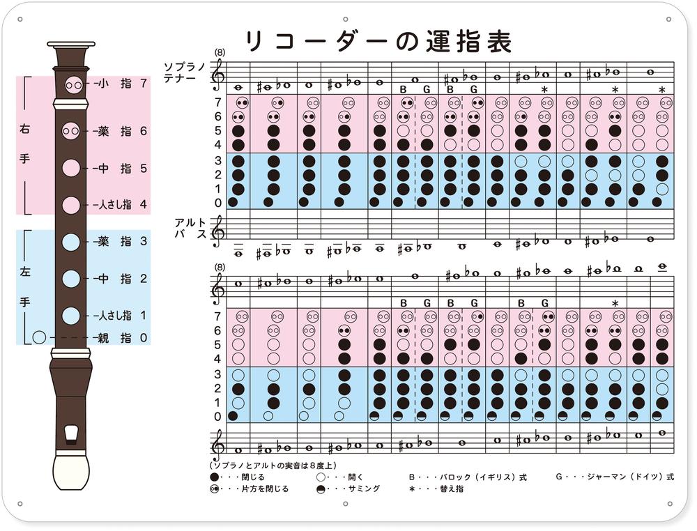 ★ P10倍 ＆ 11%OFF クーポン★ リコーダーの運指表ナレッジシート｜ワンサカ支店