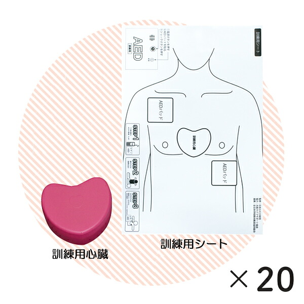 PUSH体験セット　２０セット【sanwa】