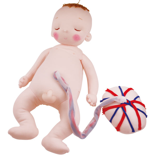 楽天市場】【ランキング1位獲得】癒しの赤ちゃん人形 「ともちゃん