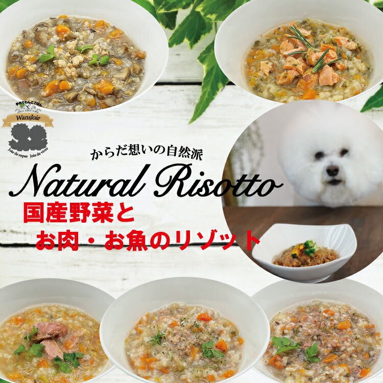 楽天市場 犬用 手作りごはん お試しレトルト２個セット 国産 野菜 牛肉 豚肉 鶏むね肉 鮭 まぐろ リゾット ドッグフード ウェットフード 無添加 健康 薬膳 アレルギー 旅行 超小型犬 小型犬 中型犬 大型犬 老犬 シニア 介護犬 涙やけ よだれ焼け ファイトケミカル