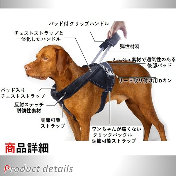 楽天市場 犬用 ハーネス 大型犬 中型犬 しつけ 胴輪 トレーニング 引っ張り防止 高品質 伸縮 のび るハーネス Lサイズ Wanwan Square Garden