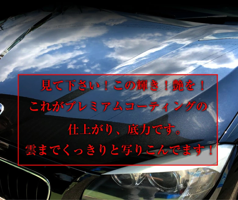 商品 c1691 電動ポリッシャー シャインポリッシュ AC100V P173 プレミアム ガラス系コーティング 300ml H901 セット 洗車  ポリッシャー 車 コーティング剤 ガラスコーティング 電動 コーティング ワックス toothkind.com.au