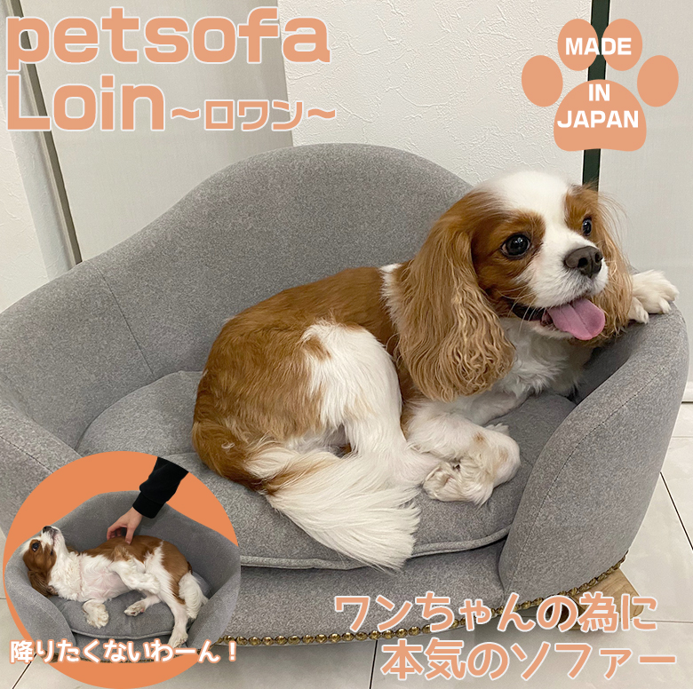 ペット専用ソファ ロワン 犬 ソファ イヌ いぬ 猫 ねこ ネコ ペット 専用ソファ グッズ ソファー イヌグッズ 犬グッズ 小型犬 小型犬用 ステップ ステップ付 犬専用 犬用品 ひっかきキズ ベッド 犬用ベッド 犬用ソファ 小型犬ソファ 小型犬ベッド Tajikhome Com