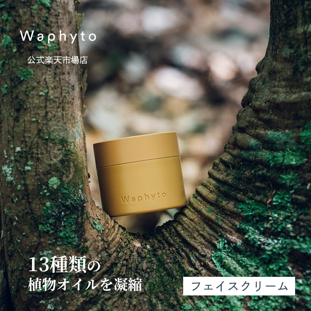 Waphyto×百貨店SALE