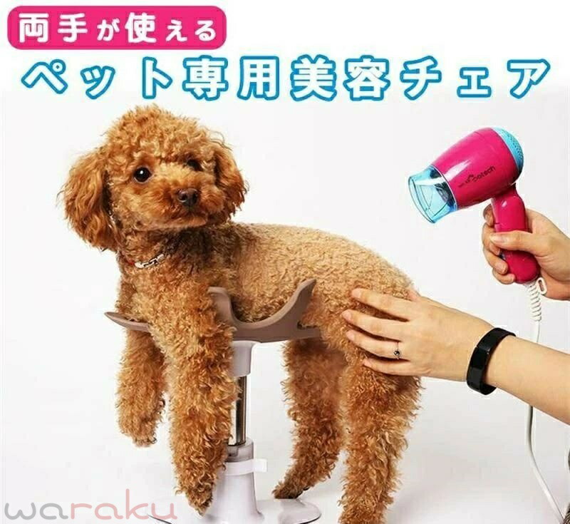 小型犬 美容女性議長 愛玩動物 犬 秘密捜査員 飼い犬 爪切り 爪きり つめきり つめ切り シャンプー台 ドライヤー