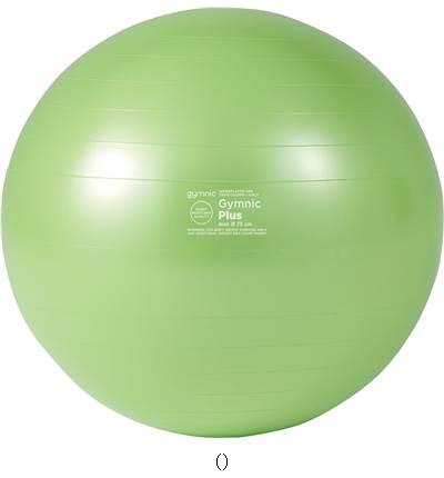 ダンノ DANNO ギムニクカラーボールPLUS75LGC-6 D5423LMG 学校器機キグ