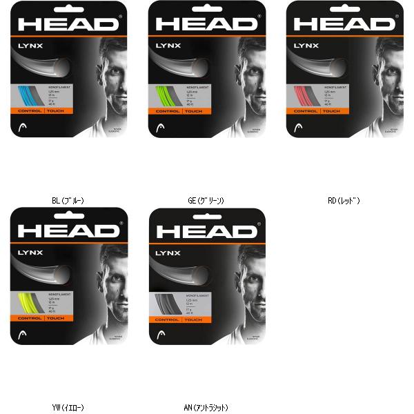 頭顱 ＨＥＡＤ LYNX／書き割り売りわたす 寸法6 281784 テニスコウシキガツト