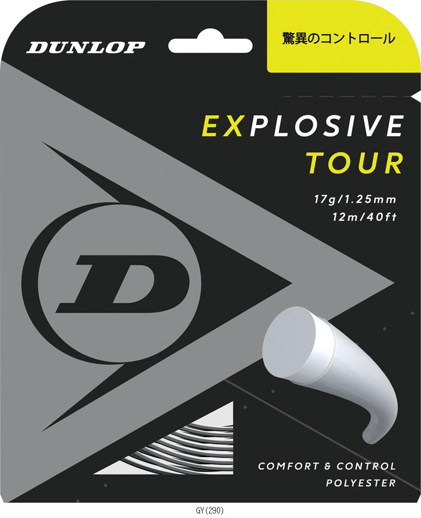 ダンロップテニス ＤＵＮＬＯＰ EXTOURRLDST12031 DST12031 テニスコウシキガツト 文芸批評を書いて貨物輸送無料計画すること