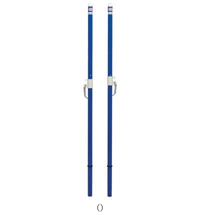 トーエイライト TOEI LIGHT バドミントンシチュウ ケン 15CM B5785A バドミントキグ