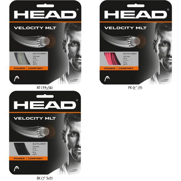 頭顱 ＨＥＡＤ VELOCITYMLT／書き割り売りわたす 寸法6 281404 テニスコウシキガツト