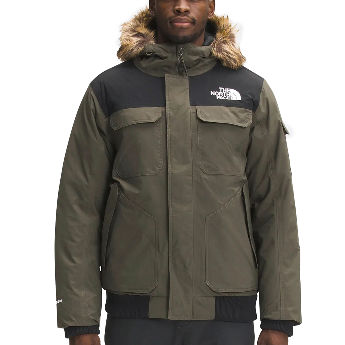 楽天市場】ザ ノースフェイス ジャケット The North Face ECO MOUNTAIN