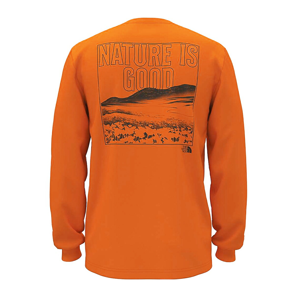ザ 北の方人間の顔 ロンT The North Face NATURE IS GOOD LONG SLEEVE TEE 北の方人間の顔 ティーシャツ メンズ LOGO ティーシャツ グラフィック ロング衣袂 刷り上げる ロンT 長袖ティーシャツ 労働者の一団のど首 ティーシャツ うしろ側ロゴタイプ ロングティーシャツ ロゴタイプ ティーシャツ メンズ USA USA計画すること 外国で押さえる