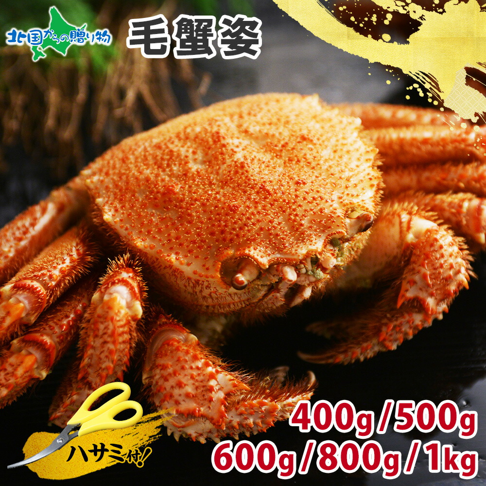 【蟹 ギフト】毛蟹 姿 400g/500g/600g/800g/1kg(かに 海鮮 父の日ギフト 食べ物 父の日プレゼント カニ ギフト グルメ カニ 姿 毛がに 蟹味噌 鍋 毛ガニ 特大 高級 gift set 食品 お土産 北海道土産 ごちそう 母の日 ギフト 2025 合格祝い 北国からの贈り物 産直ギフト)