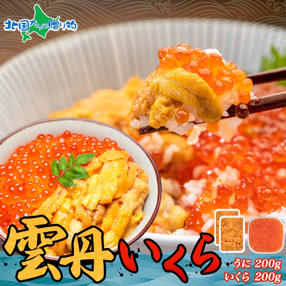 【マラソン期間：10％OFFクーポン】海鮮 二色丼セット 4人前 うに いくら 海鮮丼 セット うに イクラ 雲丹 いくら醤油漬け いくら丼 うに丼 ウニ イクラ 醤油漬け 海鮮 ギフト 冷凍 お取り寄せ グルメ 父の日ギフト 食べ物 父の日 プレゼント 送料無料 お土産 北海道土産