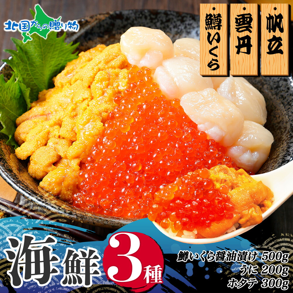 3種 海鮮丼 鱒 いくら醤油漬け 100gx5 5-6人前 ウニ チリ産 冷凍 雲丹 うに 200g ホタテ 300g 帆立 マス イクラ 醤油 ますいくら 魚卵 海鮮 送料無料 食べ物 ギフト お取り寄せ グルメ お土産 北海道土産 誕生日プレゼント 北国からの贈り物 産直ギフト 17,375円