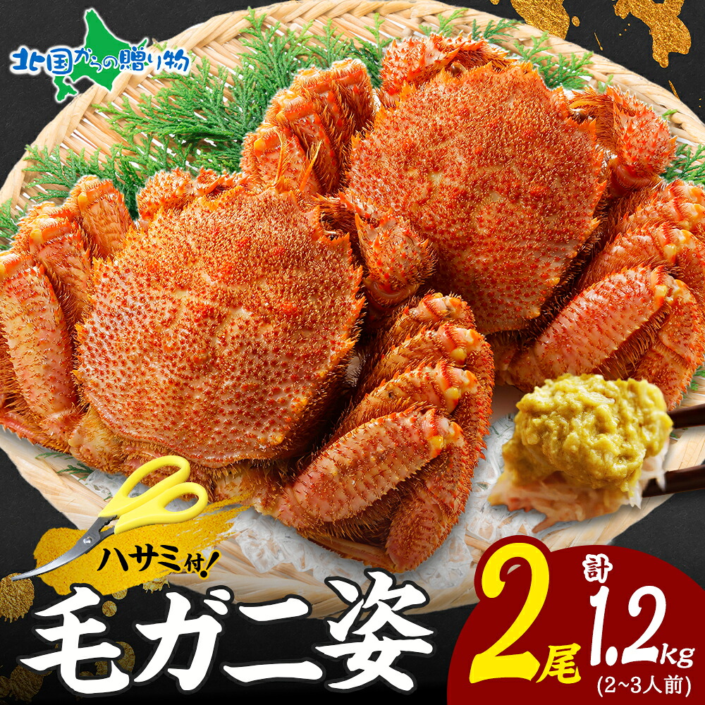 父の日 ギフト 毛ガニ 姿 2尾 計1.2kg 1尾600g ボイル 蟹身 蟹味噌 北海道産 冷凍 かに カニ けがに 堅ガニ 贈り物 プレゼント 食べ物 御祝 御礼 お取り寄せ グルメ 誕生日 豪華 贅沢 GW BBQ 帰省土産 お中元 暑中見舞い ソーシャルギフト｜北国からの贈り物　産直ギフト