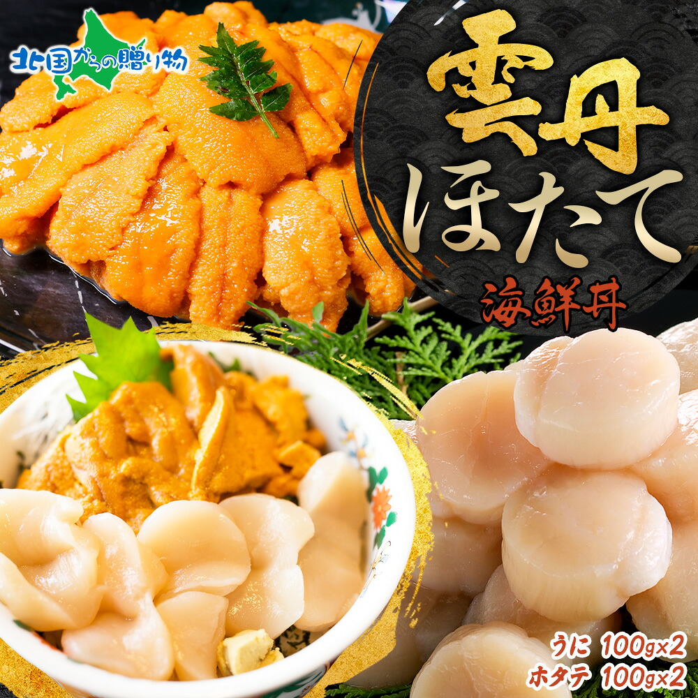 2種 うに 200g ホタテ 200g 計400g ウニ チリ産 冷凍 雲丹 生 ほたて 帆立 冷凍 海鮮丼 海鮮セット お取り寄せグルメ 送料無料 食べ物 ギフト セット お土産 北海道土産 魚介類 海産物 合格祝い 誕生日プレゼント gift 北国からの贈り物 産直ギフト 8,151円
