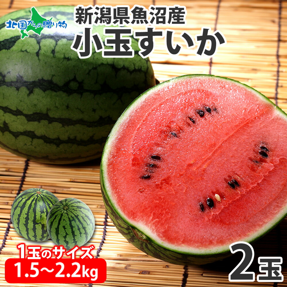 魚沼産 小玉すいか2玉 1玉あたり1.5kg～2.2kg 国産 すいか 西瓜 こだますいか こだまスイカ 小玉スイカ 薄皮 甘い シャリシャリ 濃厚 ひんやり おやつ デザート 旬の フルーツ 旬の果物 夏 産地直送 送料無料◆出荷予定:7月下旬～8月上旬