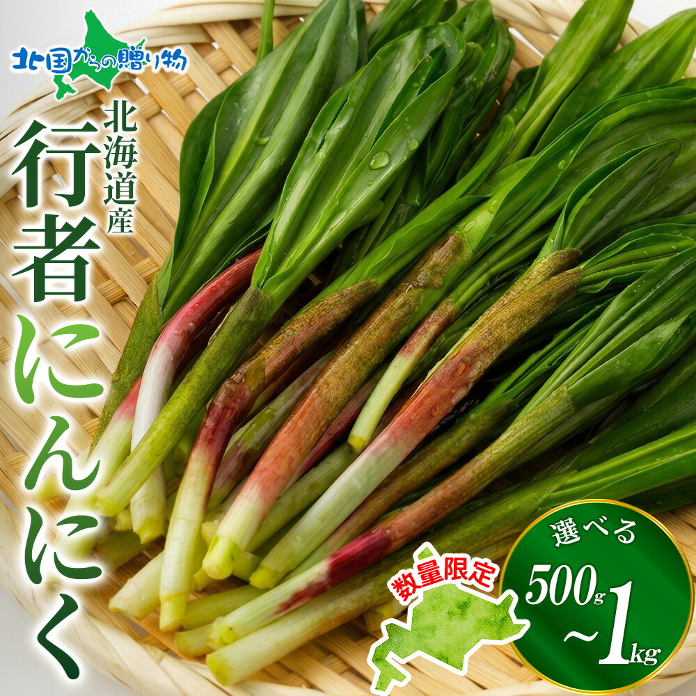 楽天市場】北海道産 行者にんにく 生冷蔵 予約（500g4980円・1kg6580円