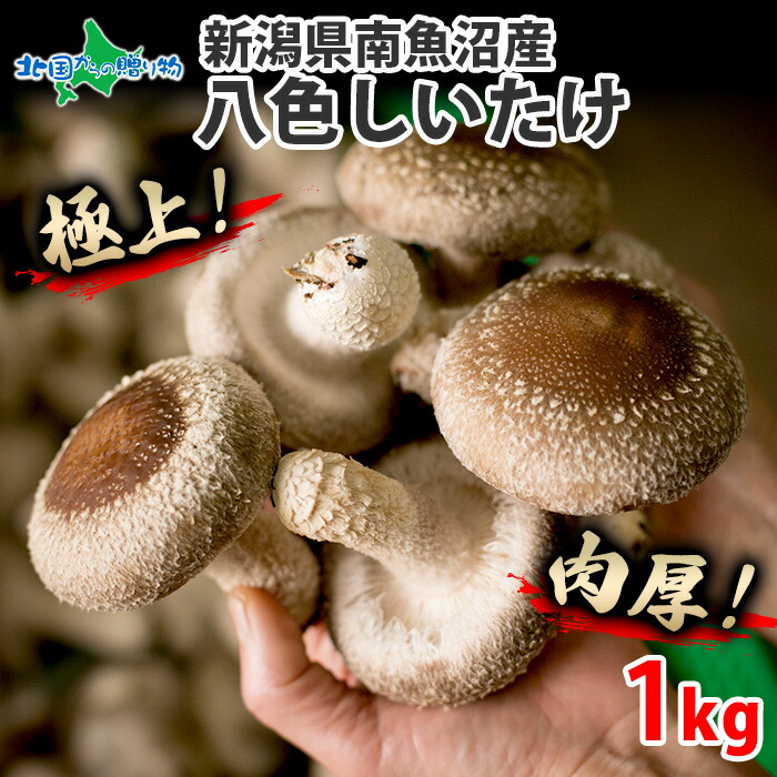 しいたけページ 楽天市場】桜通商 冷凍しいたけ（S） 500g : 生鮮食品直送便