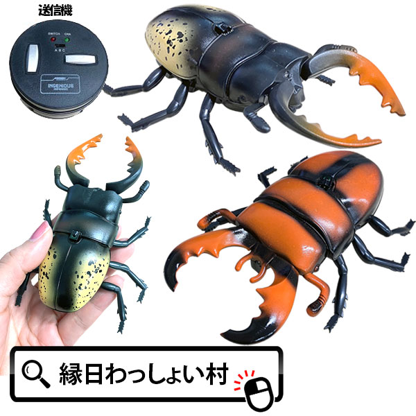 王蟲(小) ◑ 真紅と碧色とピンバッジ3個セット バラ売り不可 てんとう虫エナメルピンボタンバッジ ミラクルボックス 商品