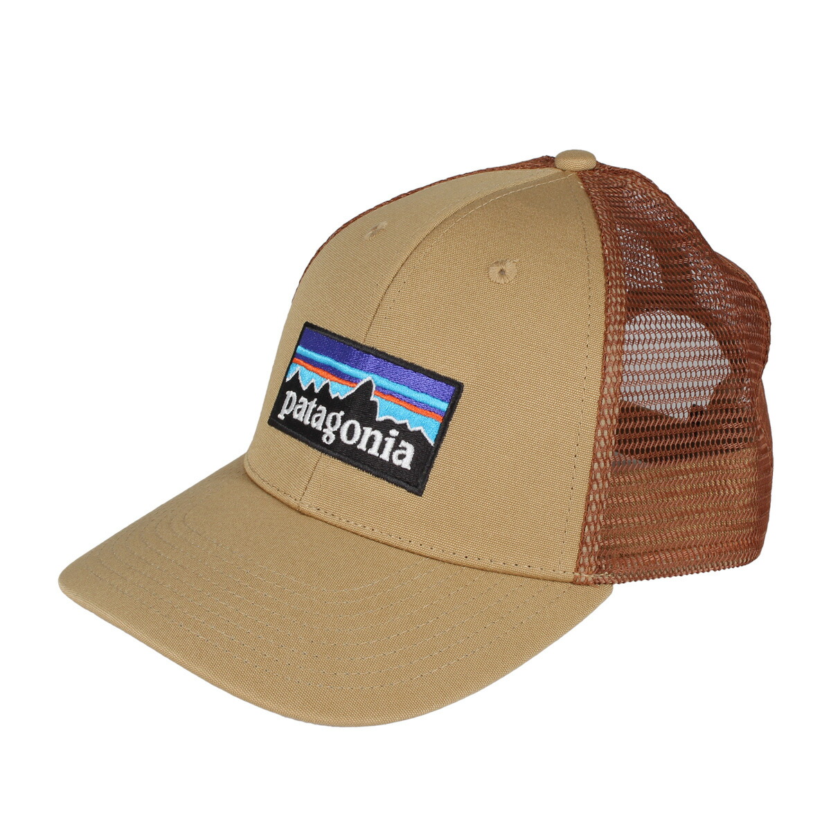 patagonia snapback