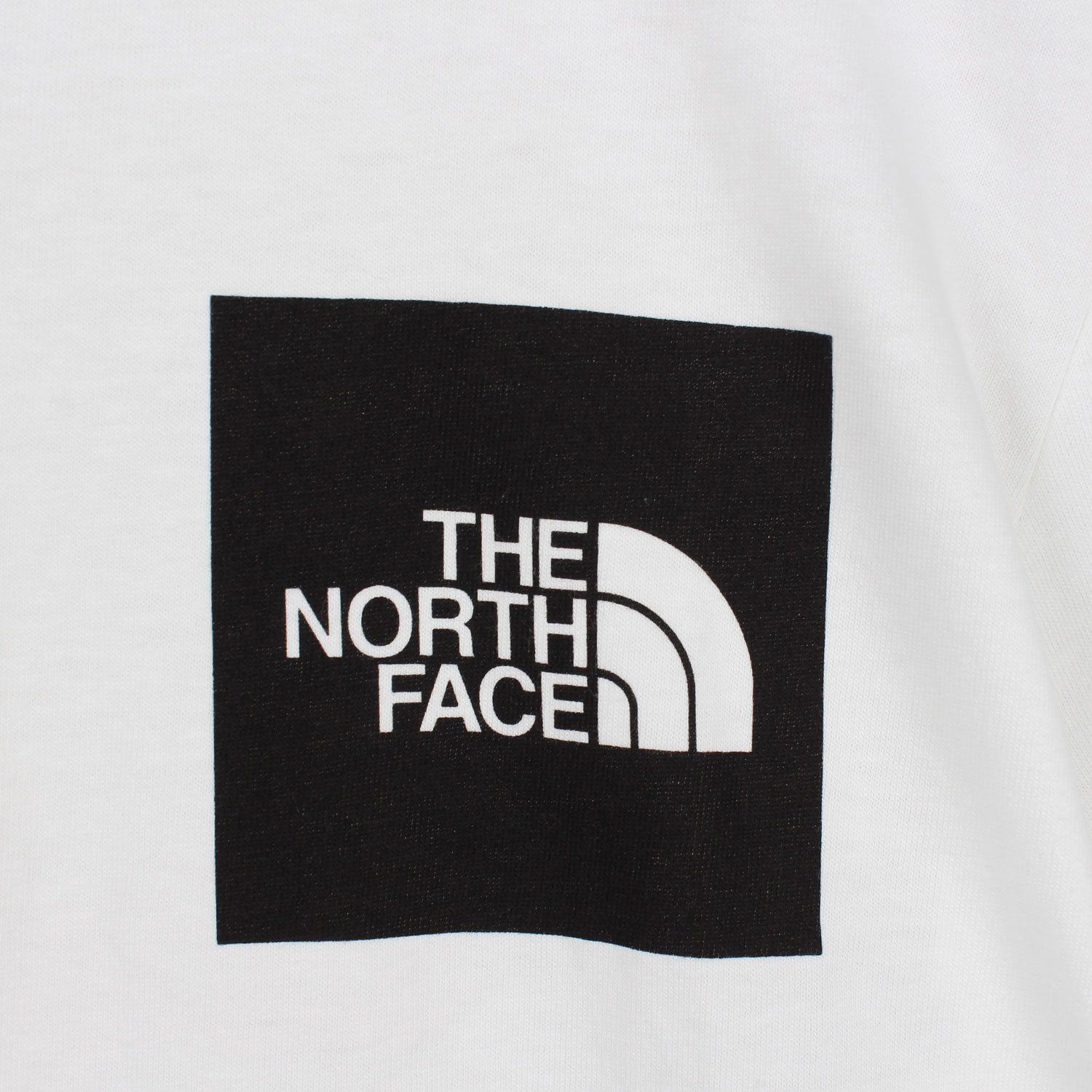 The North Tee Face Tシャツ 半袖 Fine ノースフェイス Ss