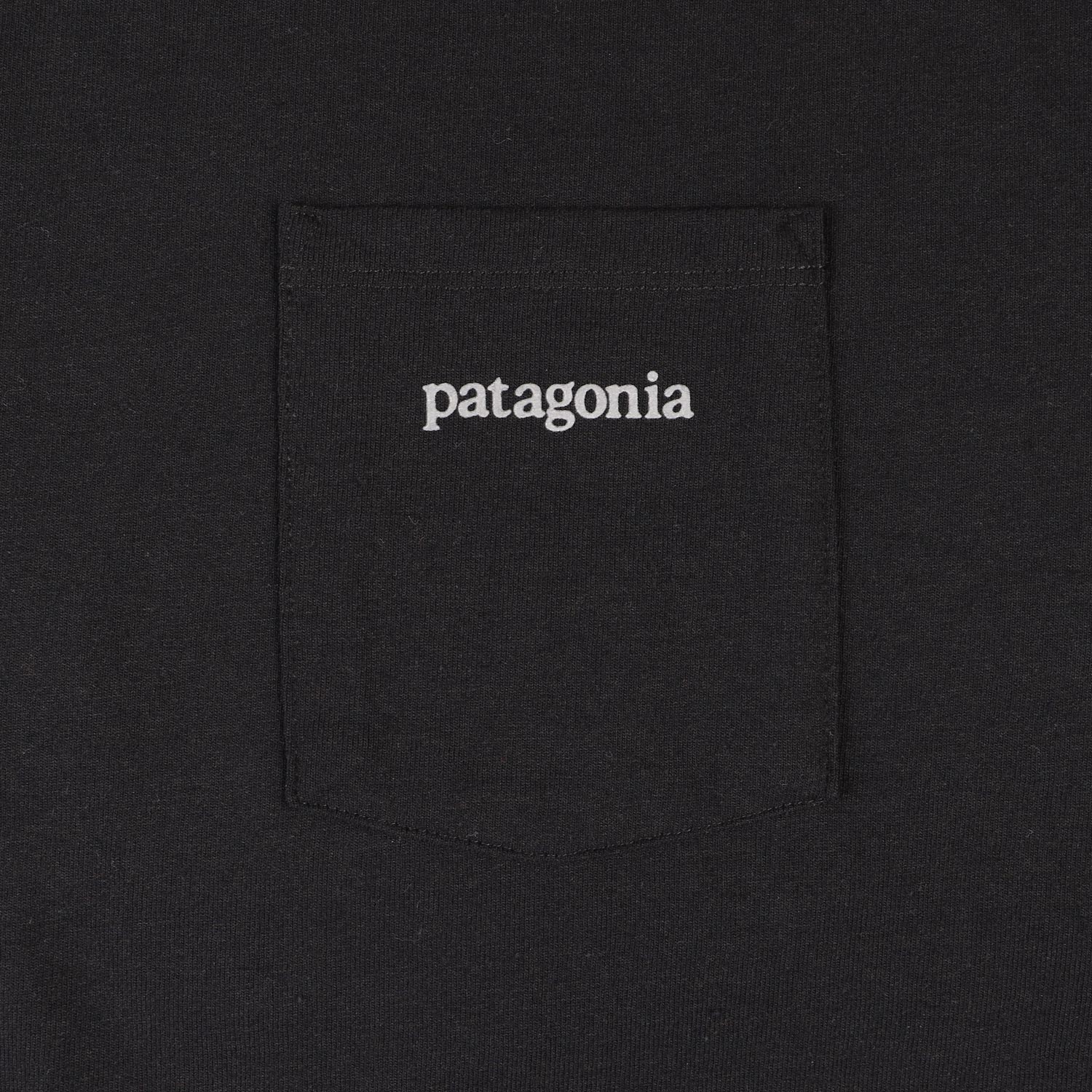 Patagonia Line ライン Tシャツ パタゴニア Pocket 半袖 ロゴ Logo Tee リッジ ポケット Responsibili Ridge