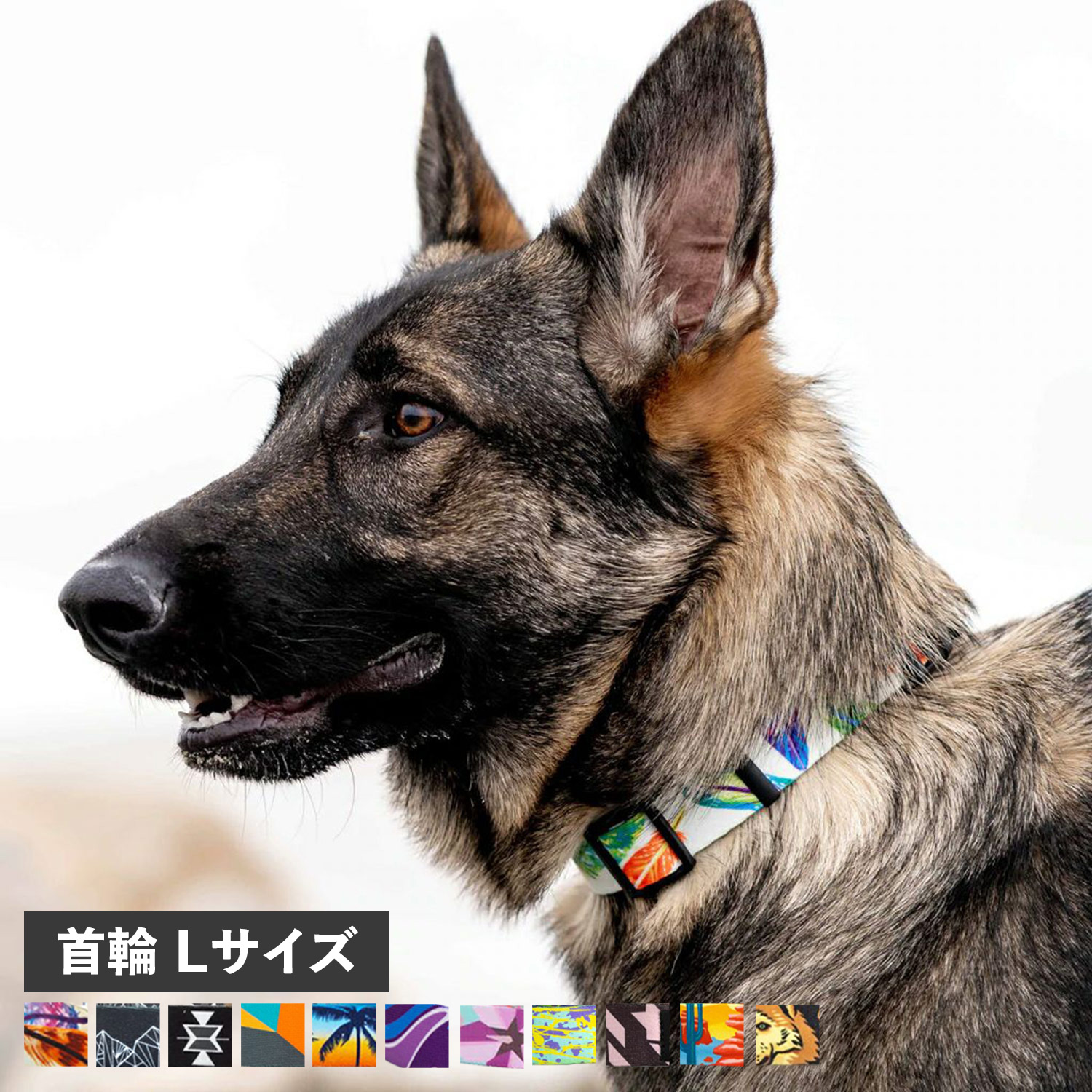 WOLFGANG COLLAR ウルフギャング 首輪 大型犬 Lサイズ 首輪犬 マン&ビースト MAN&BEAST