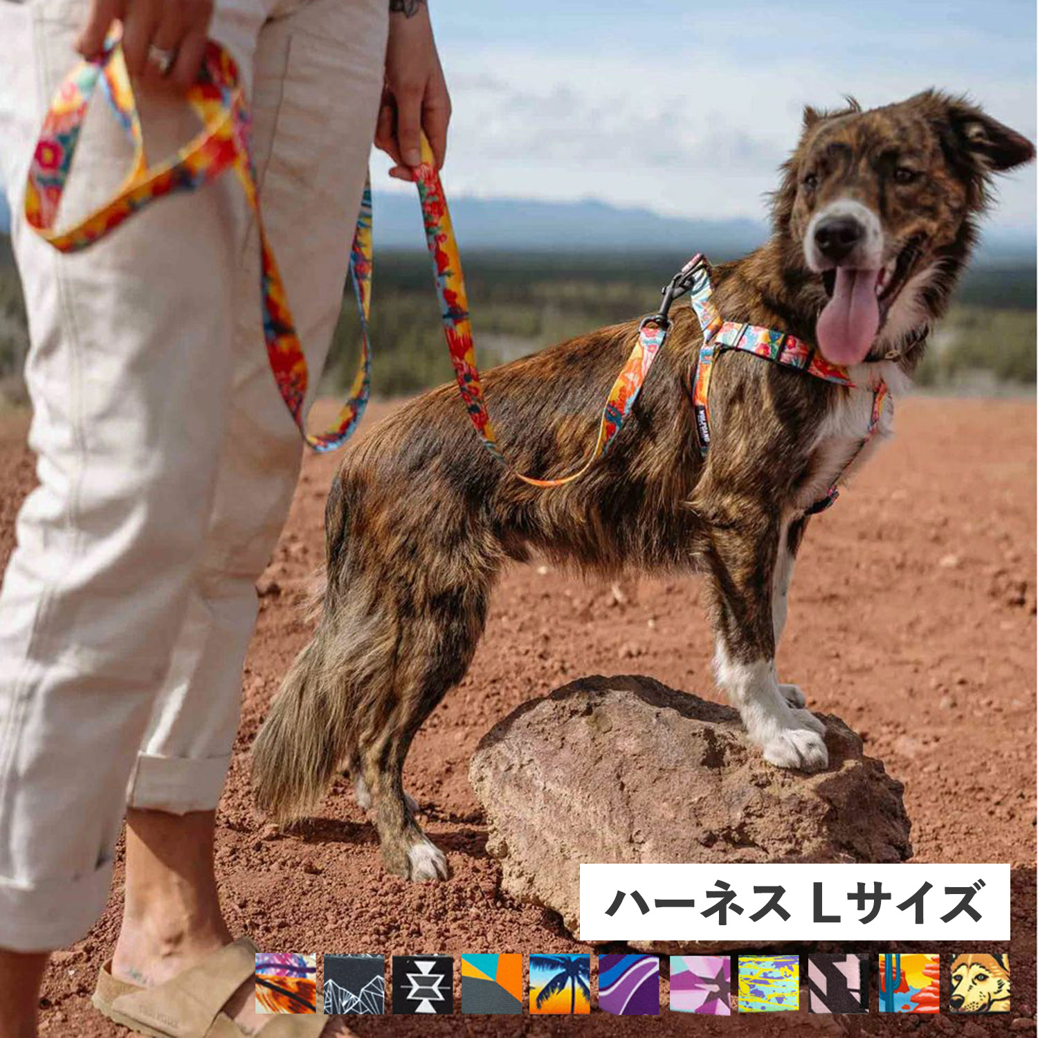 母の日特集